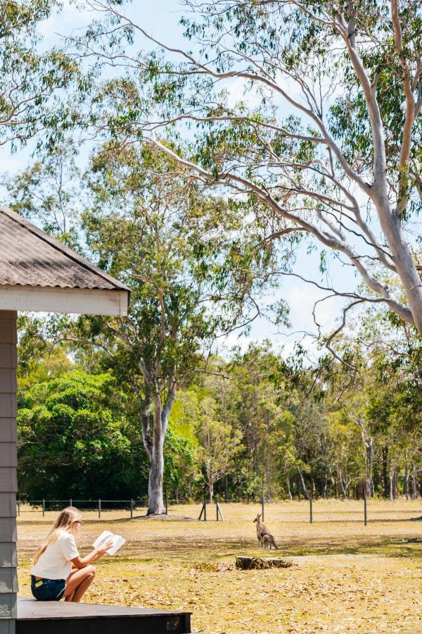 Kangarooms Noosa Everglades Cootharaba Exterior foto